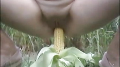 आउटडोर में मूवी सेक्स पिक्चर पिकनिक समाप्त होता है